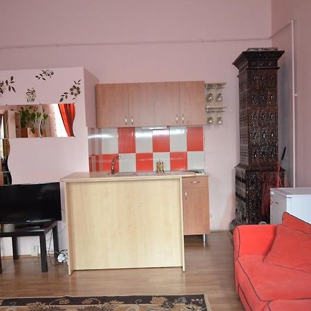 Cosy Studio Appartement Cluj-Napoca Buitenkant foto