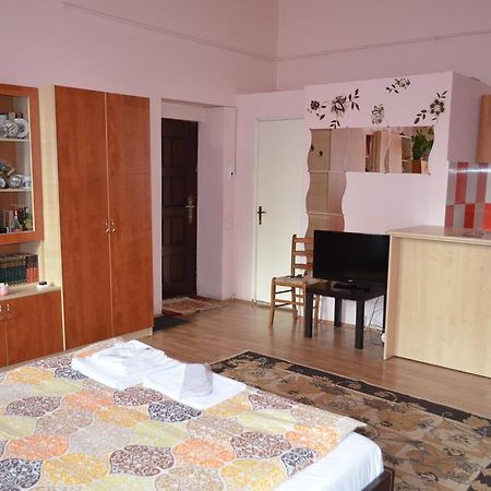 Cosy Studio Appartement Cluj-Napoca Buitenkant foto