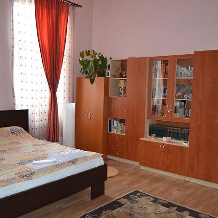 Cosy Studio Appartement Cluj-Napoca Buitenkant foto