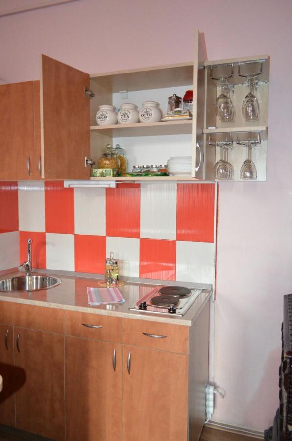 Cosy Studio Appartement Cluj-Napoca Buitenkant foto