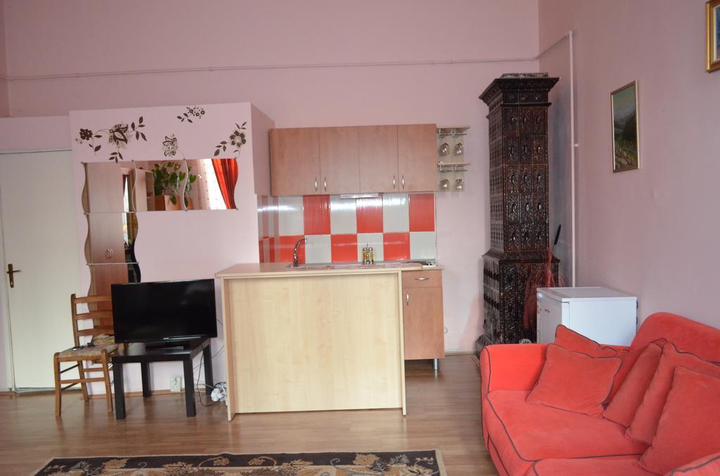 Cosy Studio Appartement Cluj-Napoca Buitenkant foto