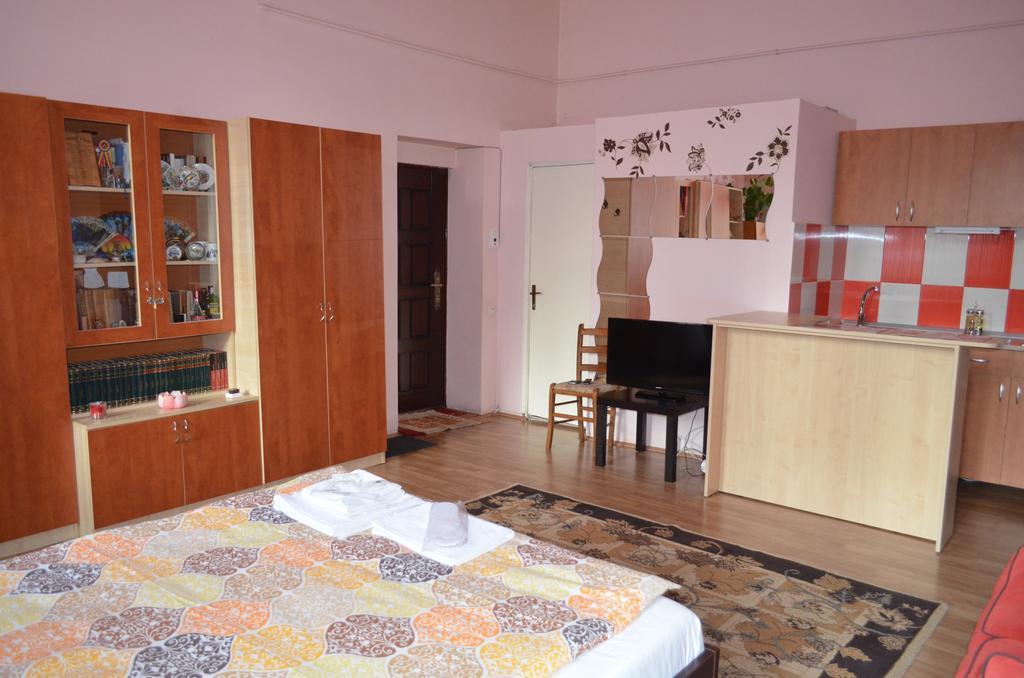Cosy Studio Appartement Cluj-Napoca Buitenkant foto