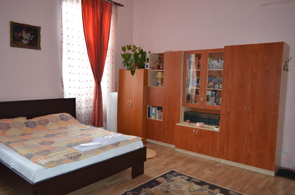 Cosy Studio Appartement Cluj-Napoca Buitenkant foto