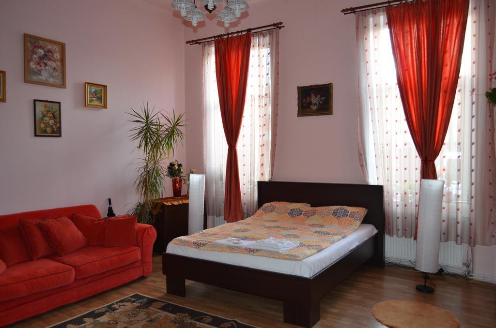 Cosy Studio Appartement Cluj-Napoca Kamer foto