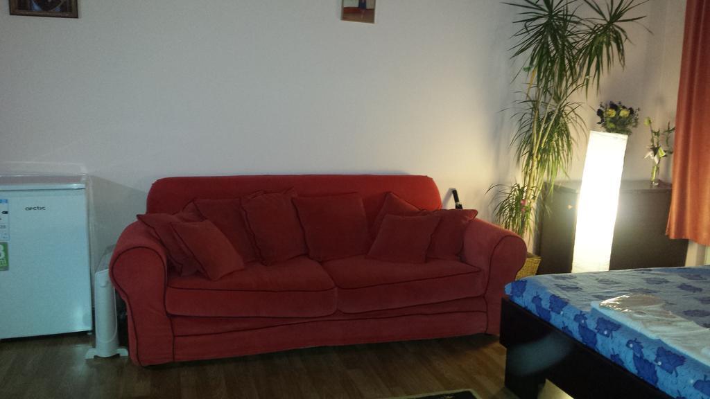 Cosy Studio Appartement Cluj-Napoca Buitenkant foto