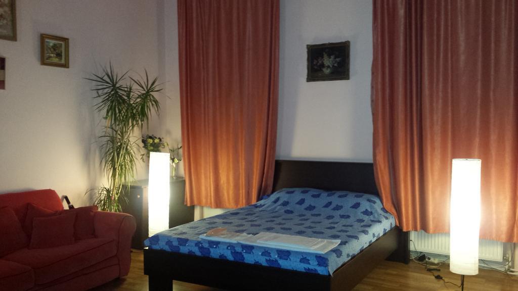 Cosy Studio Appartement Cluj-Napoca Buitenkant foto